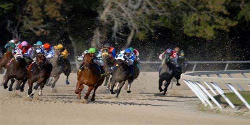 Những kiểu cược phổ biến ở game đua ngựa trực tuyến