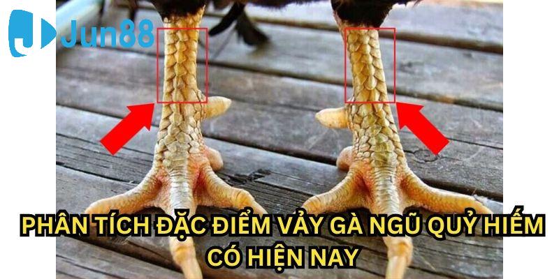 Tổng hợp điểm nhận dạng của vảy gà ngũ quỷ