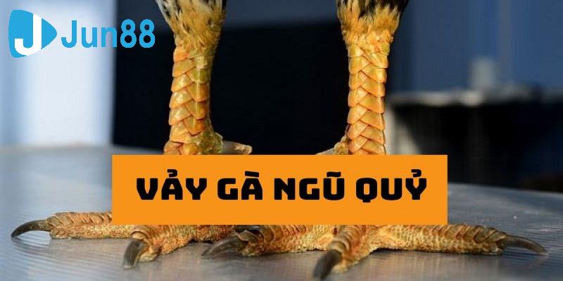 Lưu ý khi nuôi vảy gà ngũ quỷ bạn cần biết